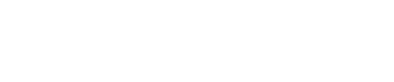 Palisade Technology Solutions